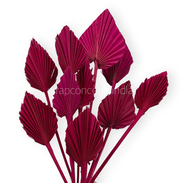 Fuchsia Pink Palm Spear - Big/Small Fuchsia Pink Palm Spear - Big/Small