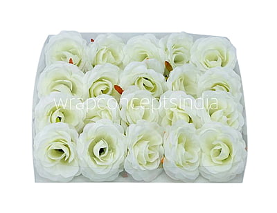 Rose - White