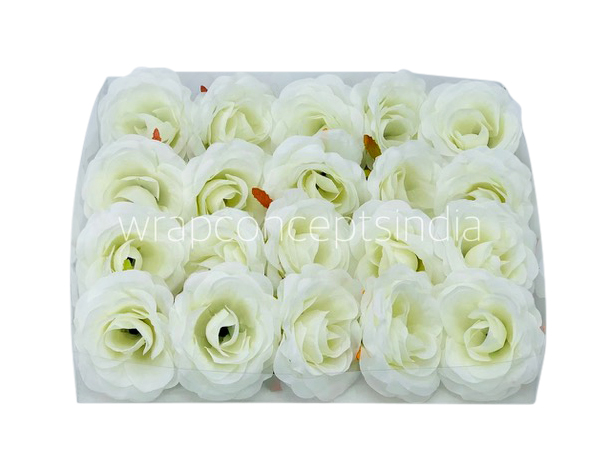 Rose - White