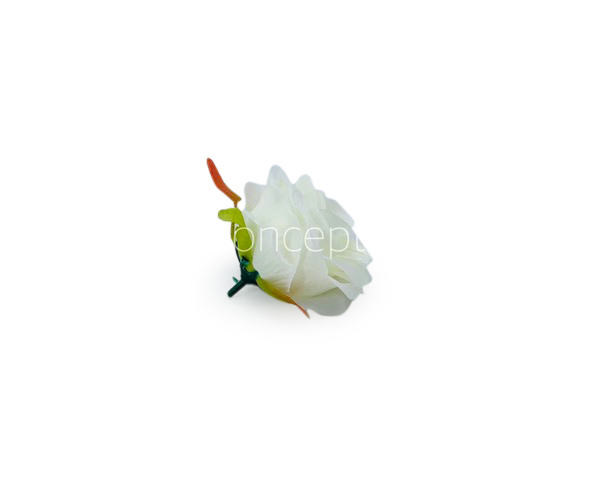 Rose - White