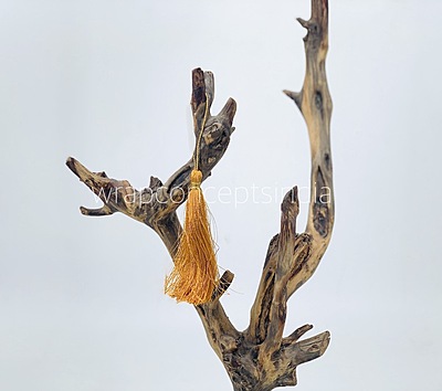 Rust Tassels