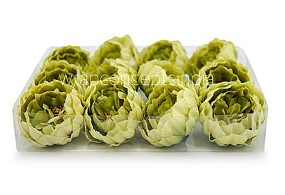 Sage Green Peony
