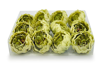 Sage Green Peony