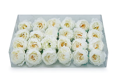 White Peonies (24 pcs) White Peonies (24 pcs)