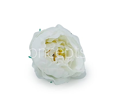 White Peonies (24 pcs) White Peonies (24 pcs)