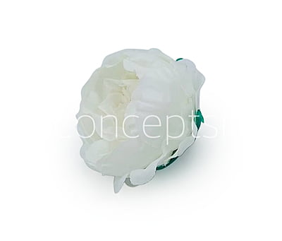 White Peonies (24 pcs) White Peonies (24 pcs)