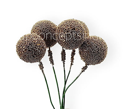 Gold Textured Pearl Sticks - Big/Small