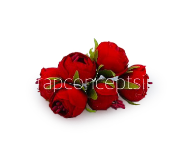 Peonies on stick - Red Peonies on stick - Red