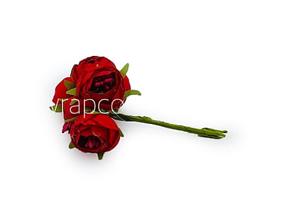 Peonies on stick - Red Peonies on stick - Red