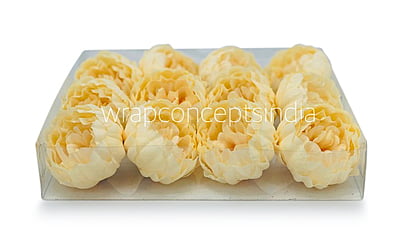 Corn Peony