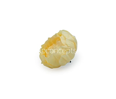 Corn Peony