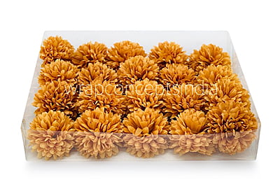 Carnation - Gold