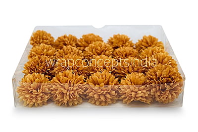 Carnation - Gold