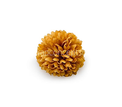 Carnation - Gold