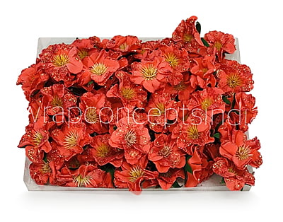 Red Glitter Poppy