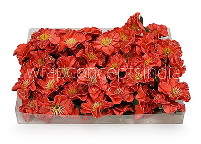 Red Glitter Poppy