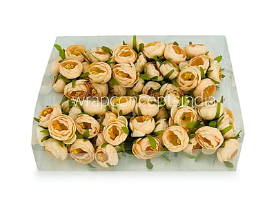 Peonies On Stick-Cream
