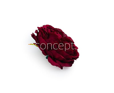 Ornate Peony - Maroon Ornate Peony - Maroon