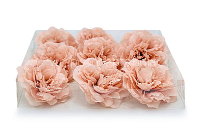 Apricot Moutan Peony Apricot Moutan Peony