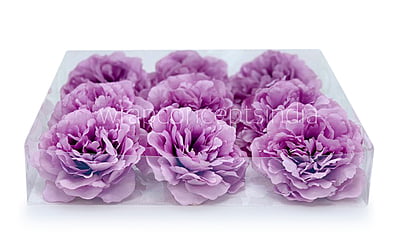 Mauve Moutan Peony Mauve Moutan Peony