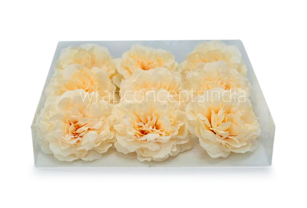 Champagne Moutan Peony Champagne Moutan Peony