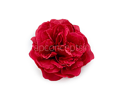 Cherry Red Moutan Peony Cherry Red Moutan Peony