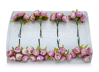 White & Lilac Close Peony