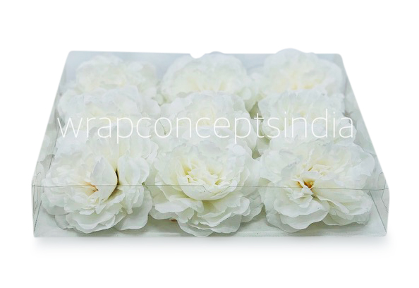 White Moutan Peony White Moutan Peony
