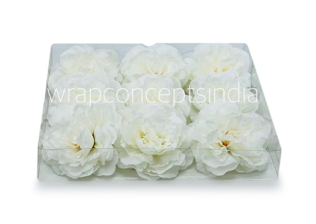 White Moutan Peony White Moutan Peony