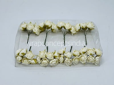 Ivory Close Peony Ivory Close Peony