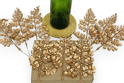 Gold Gooseberry Leaves