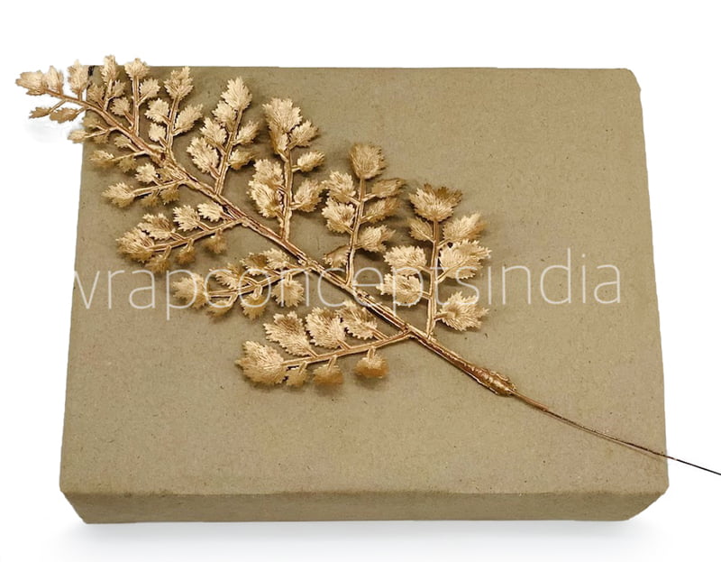 Gold Gooseberry Leaves