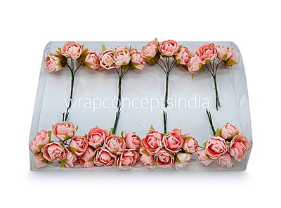 Peach Close Peony Peach Close Peony