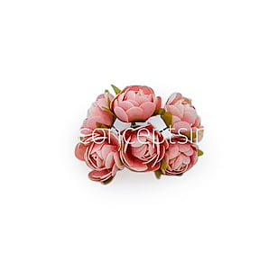 Peach Close Peony Peach Close Peony