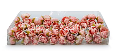 Peach Close Peony Peach Close Peony