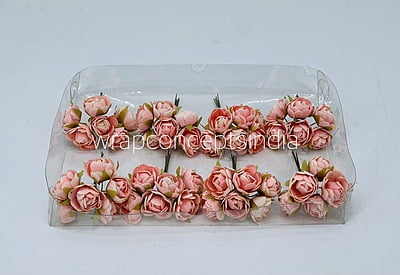 Peach Close Peony Peach Close Peony