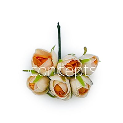 Small Close Peony - Cream with Tangerine Center Small Close Peony - Cream with Tangerine Center