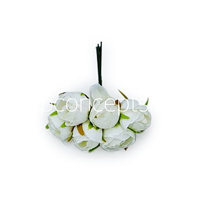 Small Close Peony - White Small Close Peony - White
