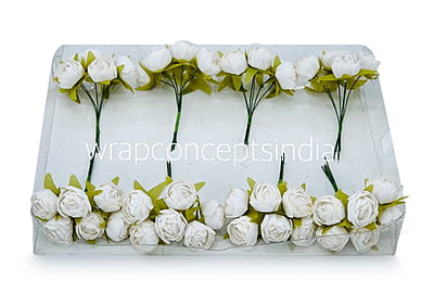 White Close Peony