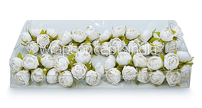 White Close Peony White Close Peony