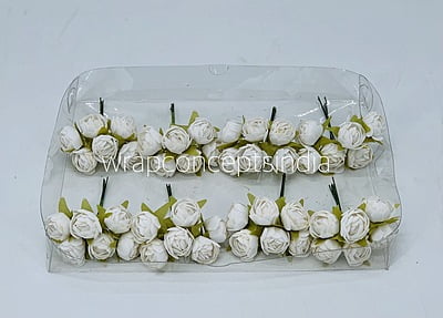 White Close Peony White Close Peony
