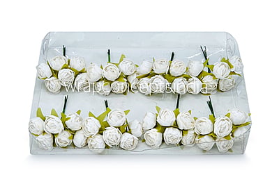 White Close Peony White Close Peony