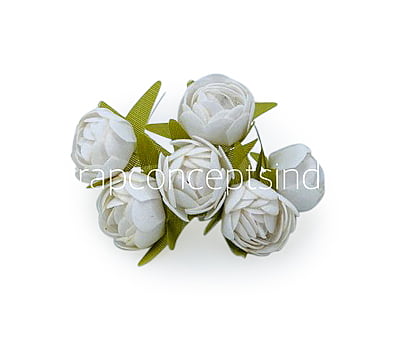 White Close Peony White Close Peony
