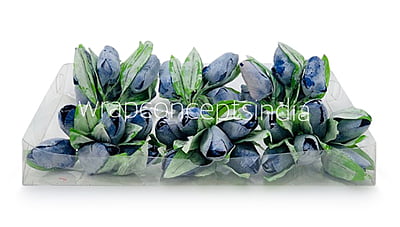 Blue Tulip Buds on Stick