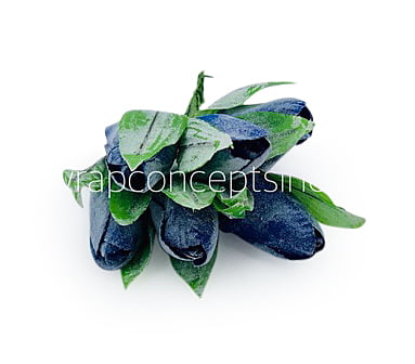 Blue Tulip Buds on Stick