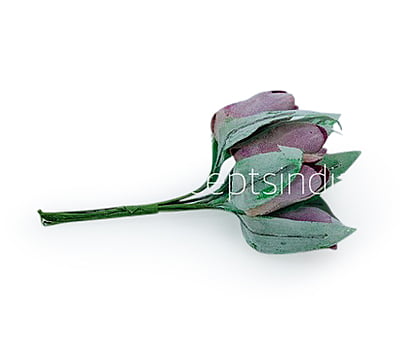 Dusky Mauve Tulip Buds on Stick Dusky Mauve Tulip Buds on Stick