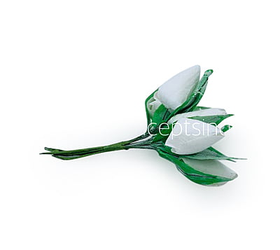 White Tulip Buds on Stick White Tulip Buds on Stick