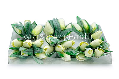 Straw Tulip Buds on Stick