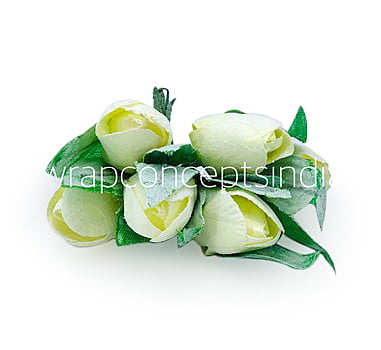 Straw Tulip Buds on Stick