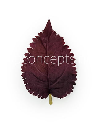 Burgundy Leaves